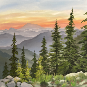 Sunset with evergreen trees and mountain